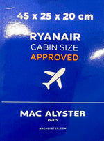 Load image into Gallery viewer, Borsa da viaggio