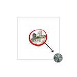 Carica l'immagine nel visualizzatore di Gallery, Anello Liz mini