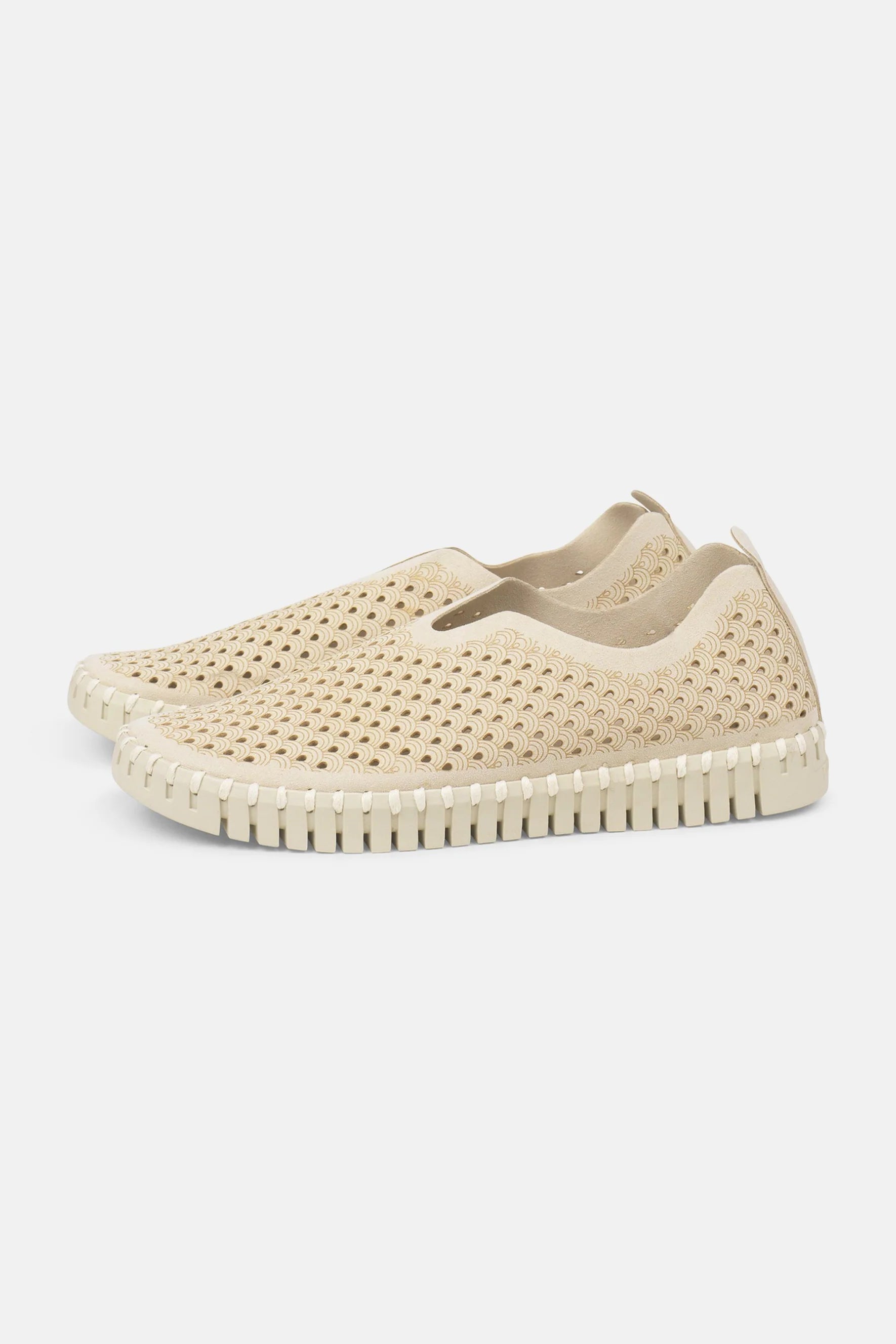 Scarpe Tulip Flats regular