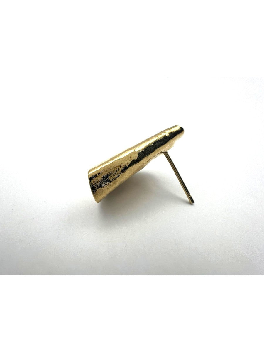 Orecchini Texas piegato 1 p